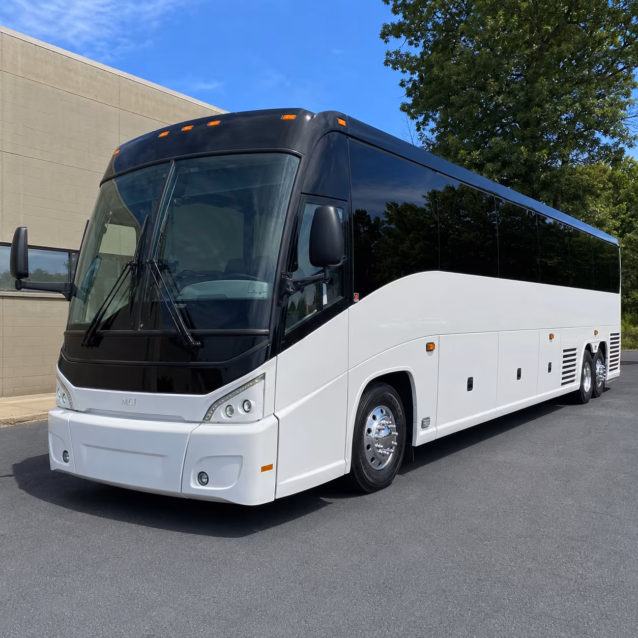 book the perfect ride for your next bachelor or bachelorette party 4