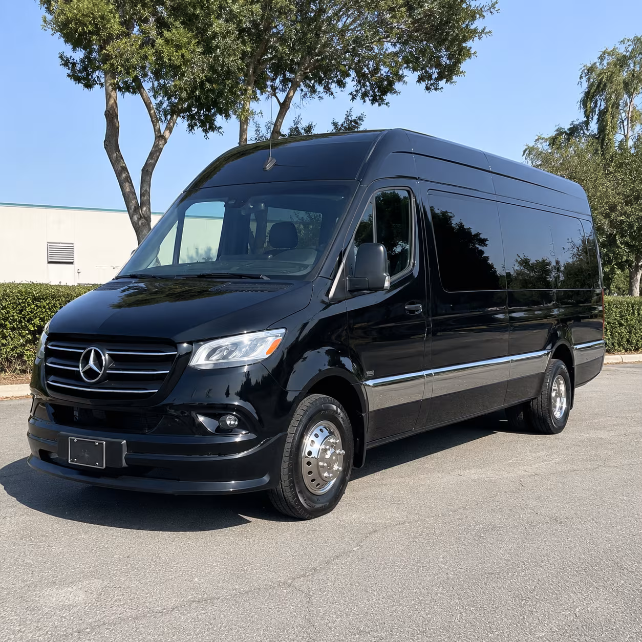 book the perfect ride for your next birthday 1
