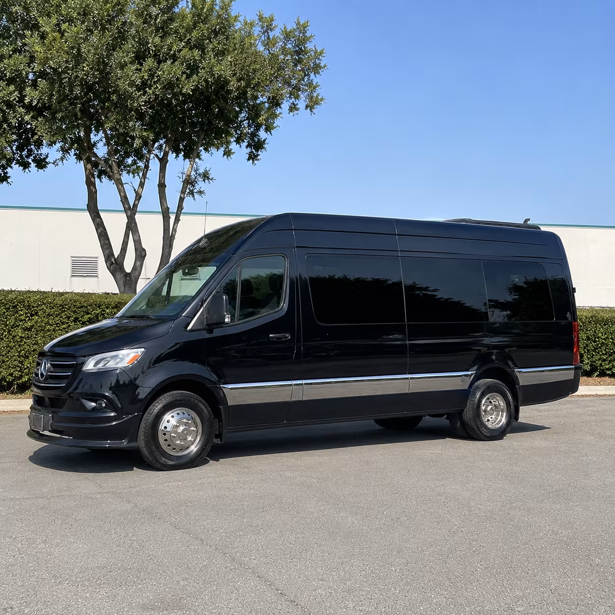 book the perfect ride for your next birthday 3