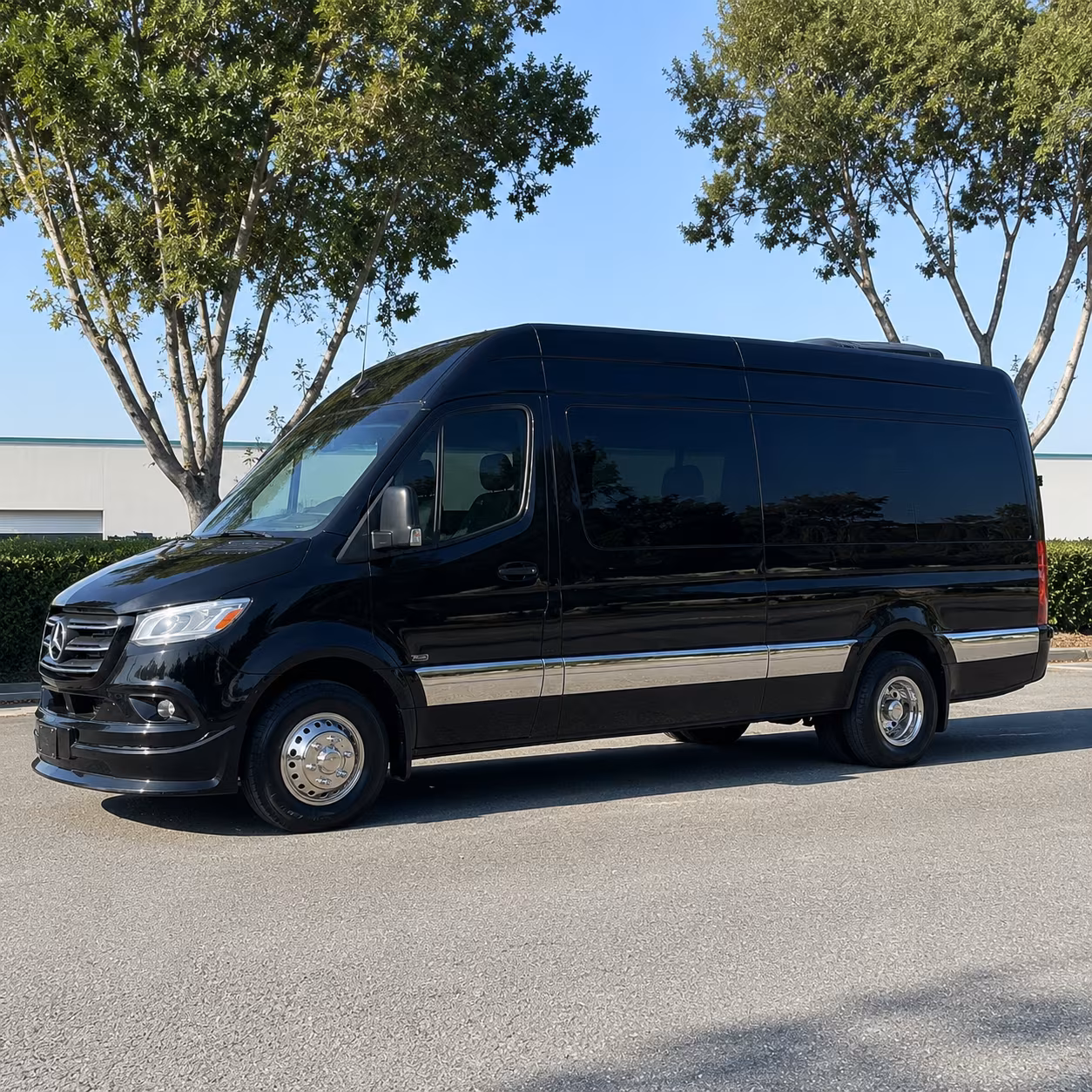 trenton sprinter van with driver